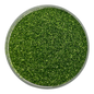 Fern